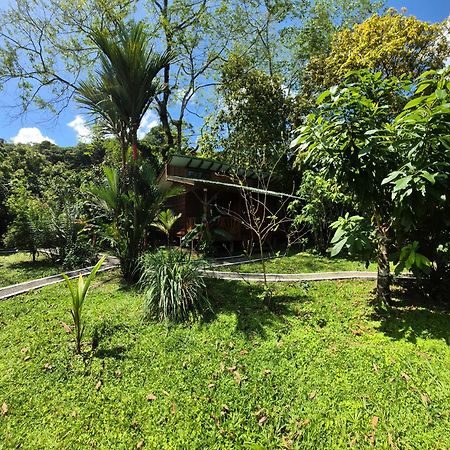 Guápiles Centro Ananda B&B 외부 사진