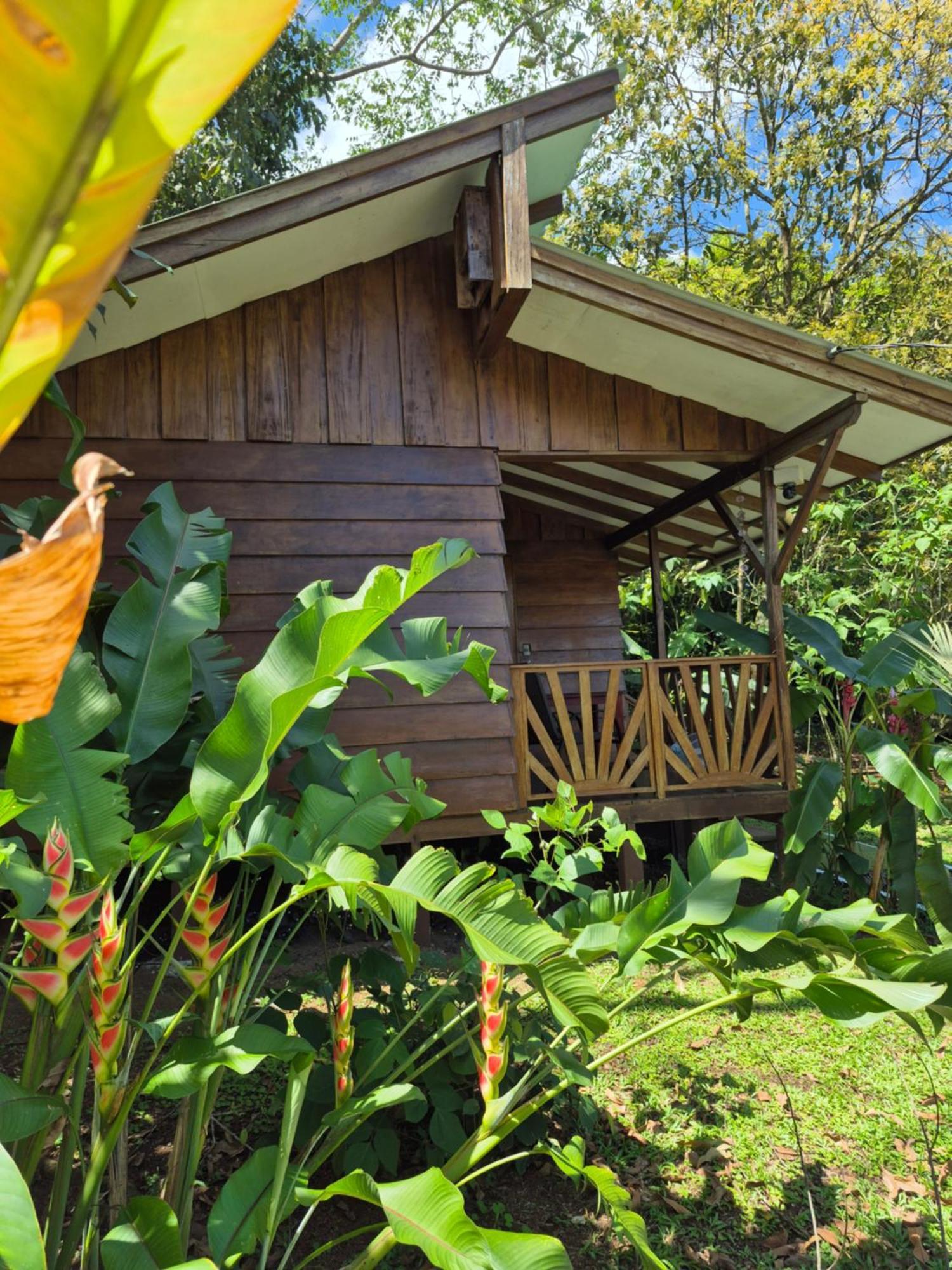 Guápiles Centro Ananda B&B 외부 사진
